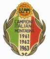 DE 06 ADESIVO DEMM CAMPIONE ITALIANO MONTAGNA