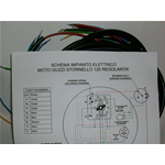 IMPIANTO ELETTRICO MOTO GUZZI STORNELLO 125 REGOLARITA'